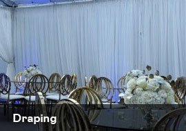 cat draping Event Crowd Control and More