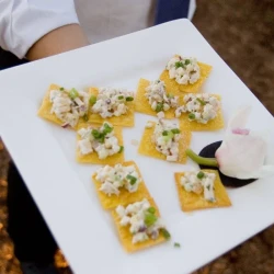 Porcelain Square Platters 12