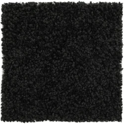 Black Carpet
