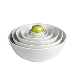 round203 1776363044 1 Porcelain Round Bowl 10" x 4"H