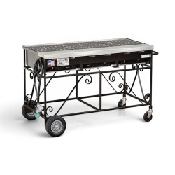 5 Burner Gas Grill