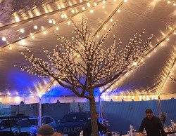 Led20light20up20cherry20blossom202 1769114626 Led light up cherry blossom tree