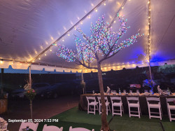 Led20light20up20cherry20blossom 1769114626 Led light up cherry blossom tree