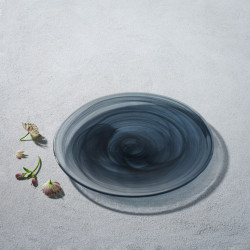 Cloudy Black Glass 11 Dinner Plate (12 Pcs)